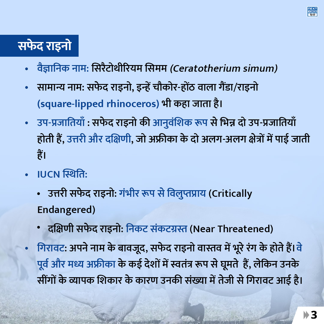 NEXTIAS_HINDI's tweet photo. डेली इन्फोग्राफ़िक्स (31-01-2024)
विषय:"टेस्ट ट्यूब राइनो और (IVF)तकनीक"

#NEXTIASInfographic #testtube #rhinos #ceratotheriumsimum #IVFtechnology #ivfbaby #MedicalScience  #technology #upsc #upscprelims #IAS #upscpreparation #knowledge #civilservicesexam #NEXTIAS #NEXTIASHindi https://t.co/Po31x0xadh