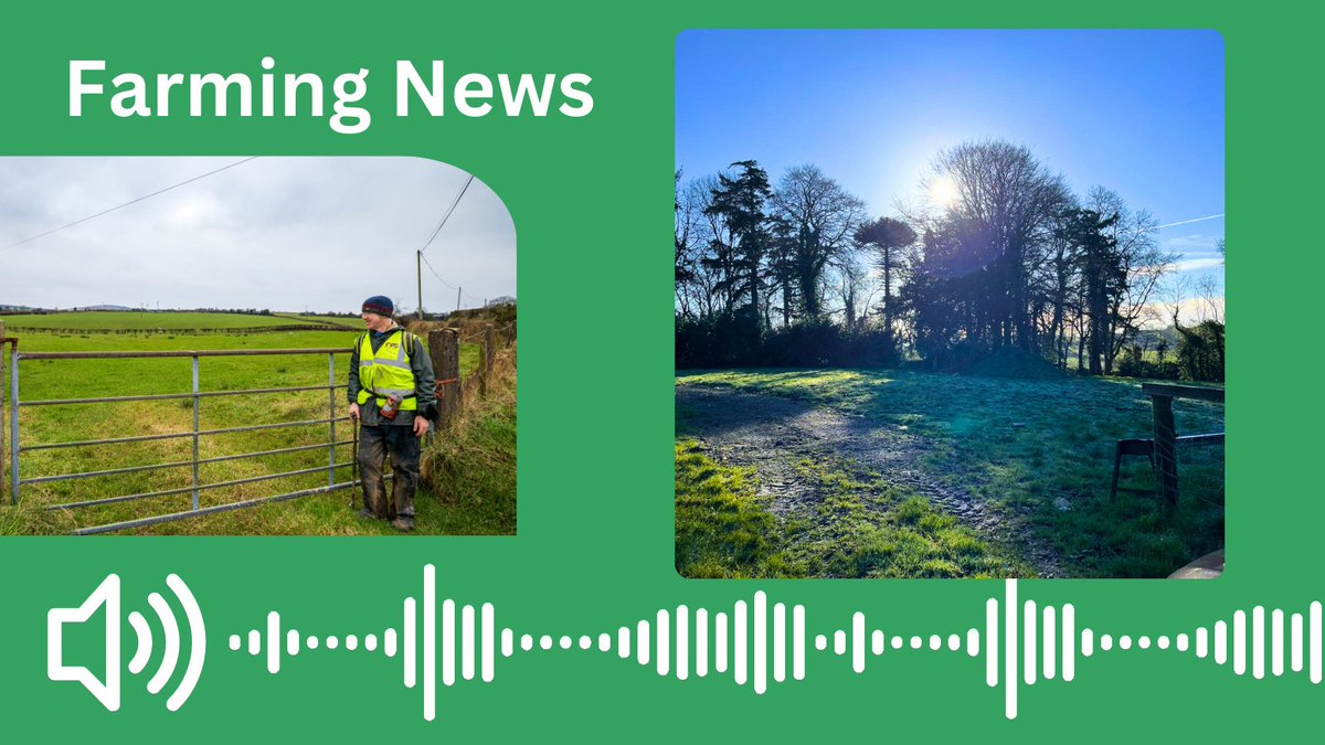 In case you missed it @ElaineMMitchell interviewed Dr Rachel Cassidy @AFBI_NI on @bbcradioulster about the sampling progress to date in Zone 2 of the Soil Nutrient Health Scheme - 🔗bbc.co.uk/sounds/play/fa…… ▶️22:45 - 26:13 #SNHS_NI #soilsampling #CoFermanagh #CoArmagh #CoTyrone