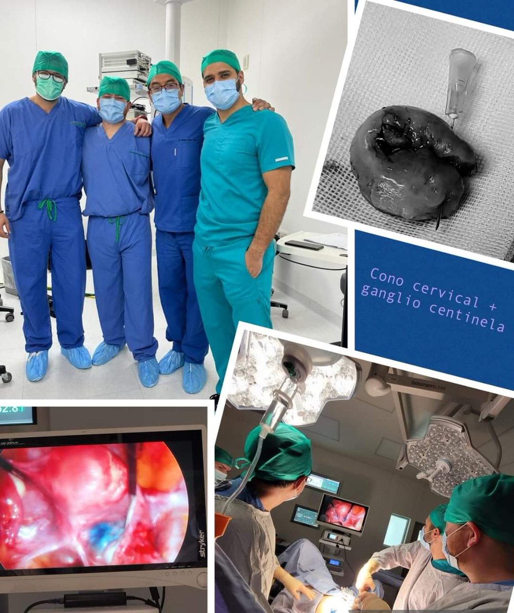g_morenoflores's tweet photo. Did you know that conservative surgery can be performed for low-risk, early-stage cervical cancer? and preserve fertility. Patients must meet very specific criteria. #CervicalCone #SentinelNode #CervicalCancer #DrGMoreno #HPV #fertility #Gineco #Cancer #CaCu #CancerCervicouterino https://t.co/hEduSc8fUS