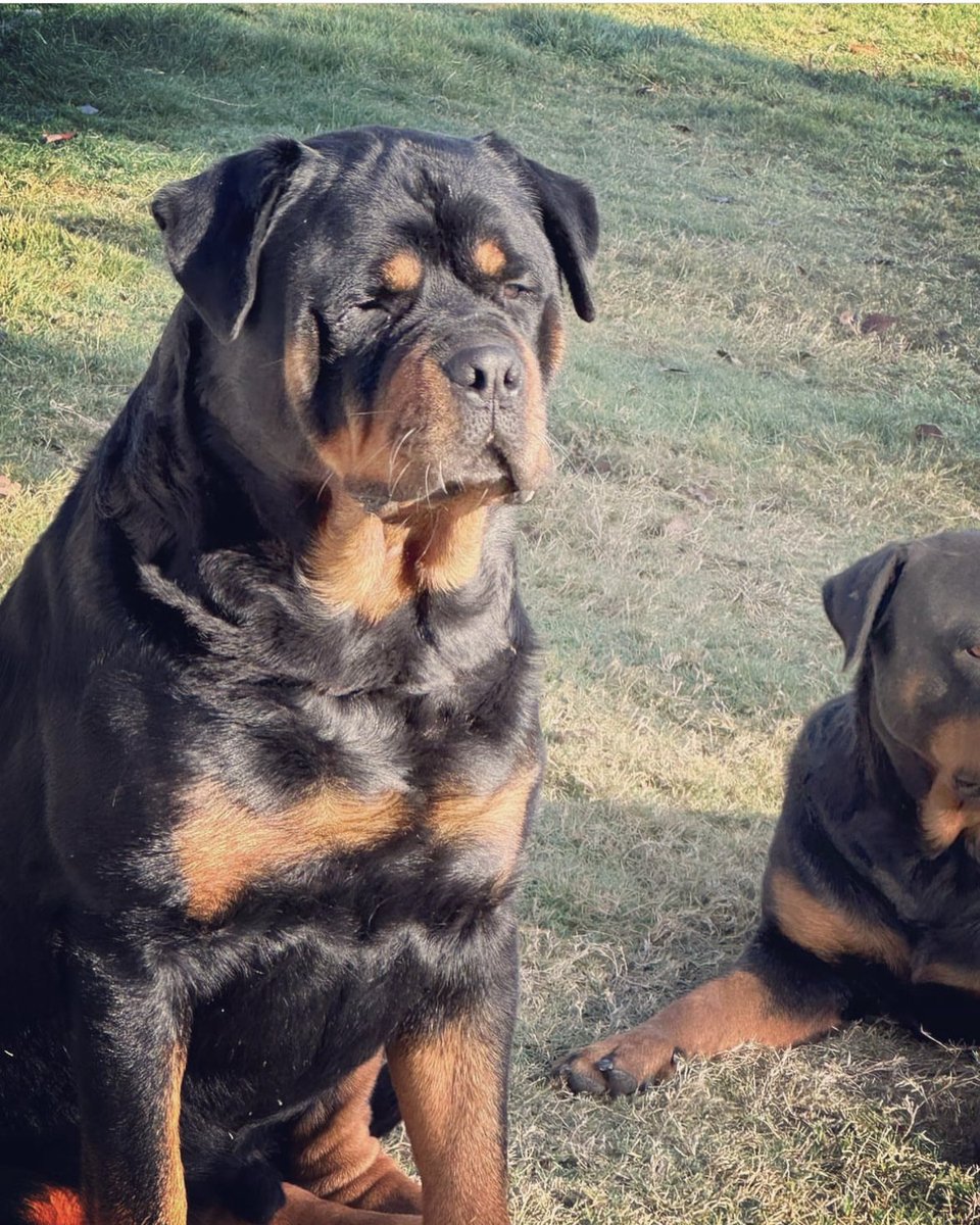 Oz Industries Forecasting - Long Range Weather tweet media