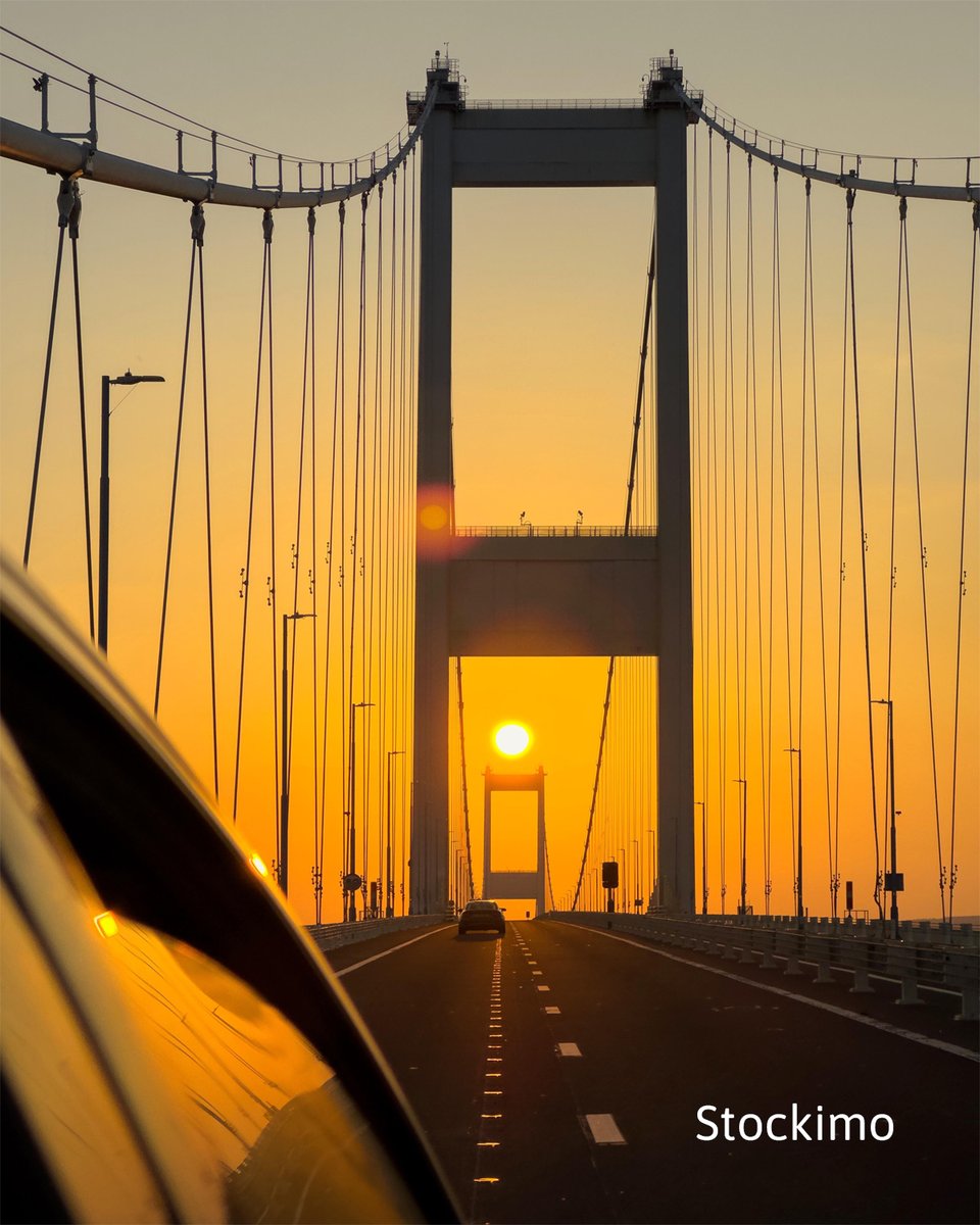 Stockimo tweet media