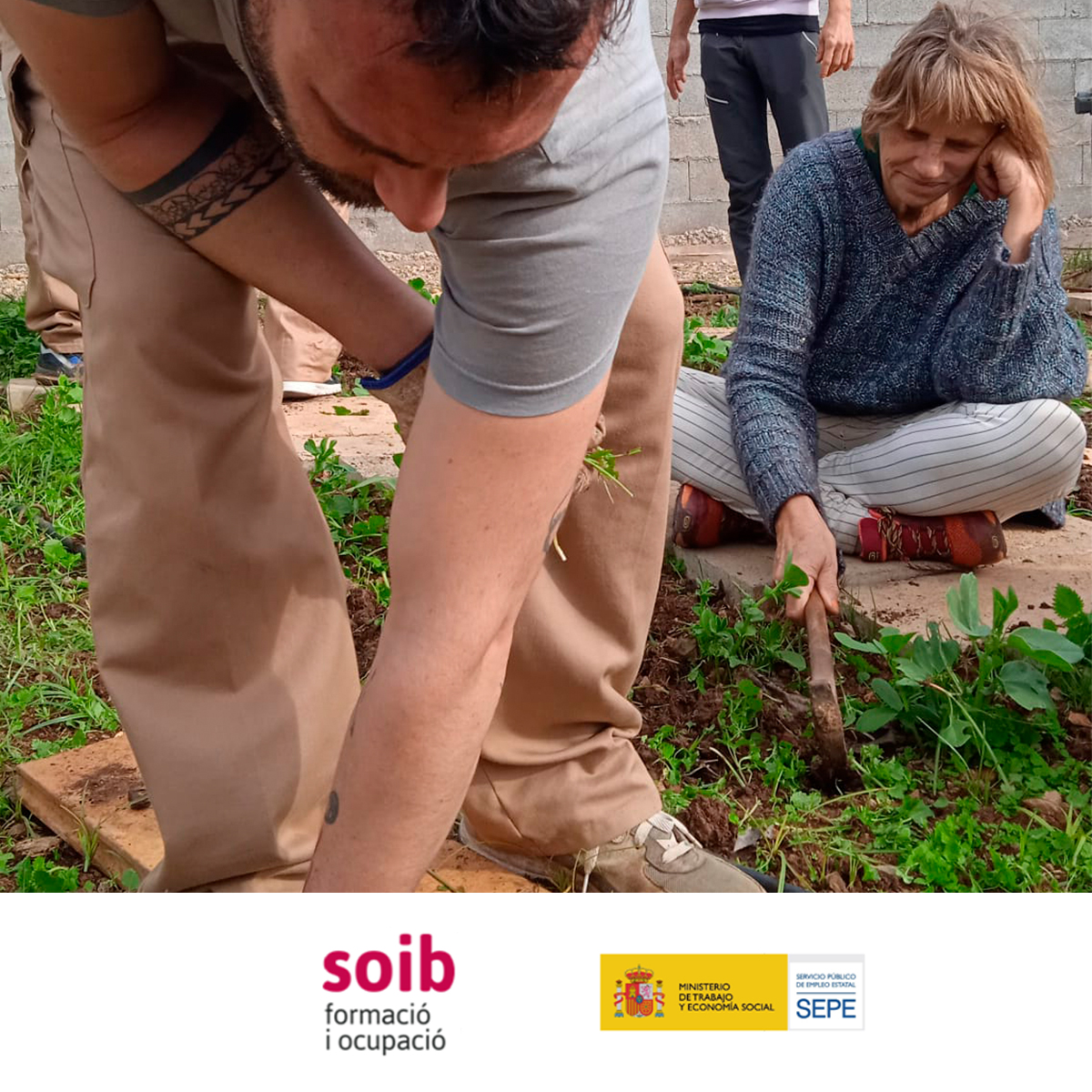 EstelDeLlevant's tweet photo. Al viver Bio d'Estel de Llevant una de les tasques que es duen a terme per part dels alumnes de #FormacióDual del programa #SOIB #DUAL #Vulnerables #SOIBDual és el manteniment dels jardins i els espais verds.
Amb el suport de @SOIBgoib i @empleo_SEPE https://t.co/sScfvyNgOW