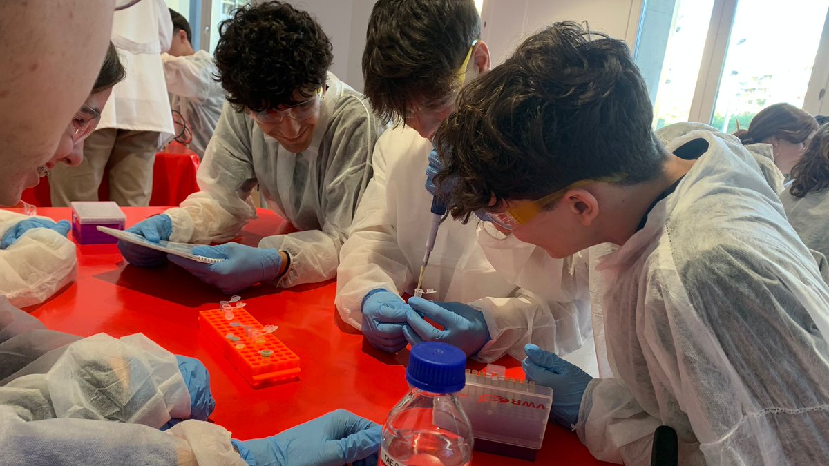 carmelitestgn's tweet photo. #ADMTWC #POSTC El nostres alumnes de BATX1 de Biologia treballen en la recerca d'una vacuna contra el VIH, taller fet al @CaixaForum gràcies a la proposta del grup de recerca del @IrsiCaixa Excel.lent oportunitat per aprendre fent! #depetitsagransCarmelites #somifemescola https://t.co/IeQKGk5RD9