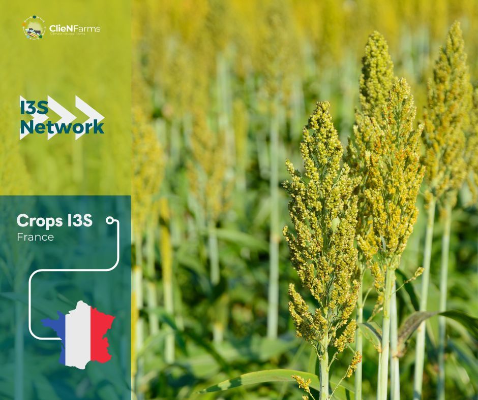 🤝 💪 This I3S sets regional dynamics with multi-actor coordination in the Northeast of France, involving actors willing to target neutral climate agricultural for providing protein sources for human & animal proteins & source of energy. Learn more 👉 buff.ly/3EUDR00