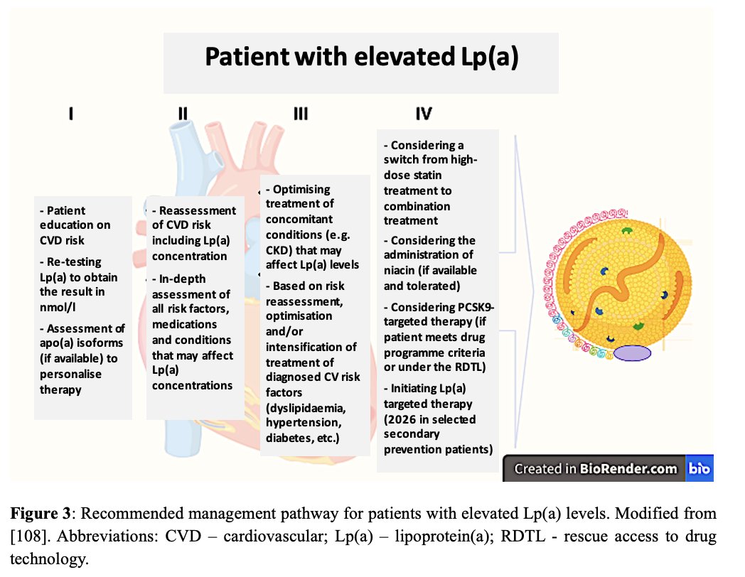 To continue the thread of new Polish #LPA #recommendations - please also see some practical approach to the elevated #LPA levels management 💪

I would especially put your attention on Table 7 with the recommendations on how to manage with the elevated concentration of #LPA in