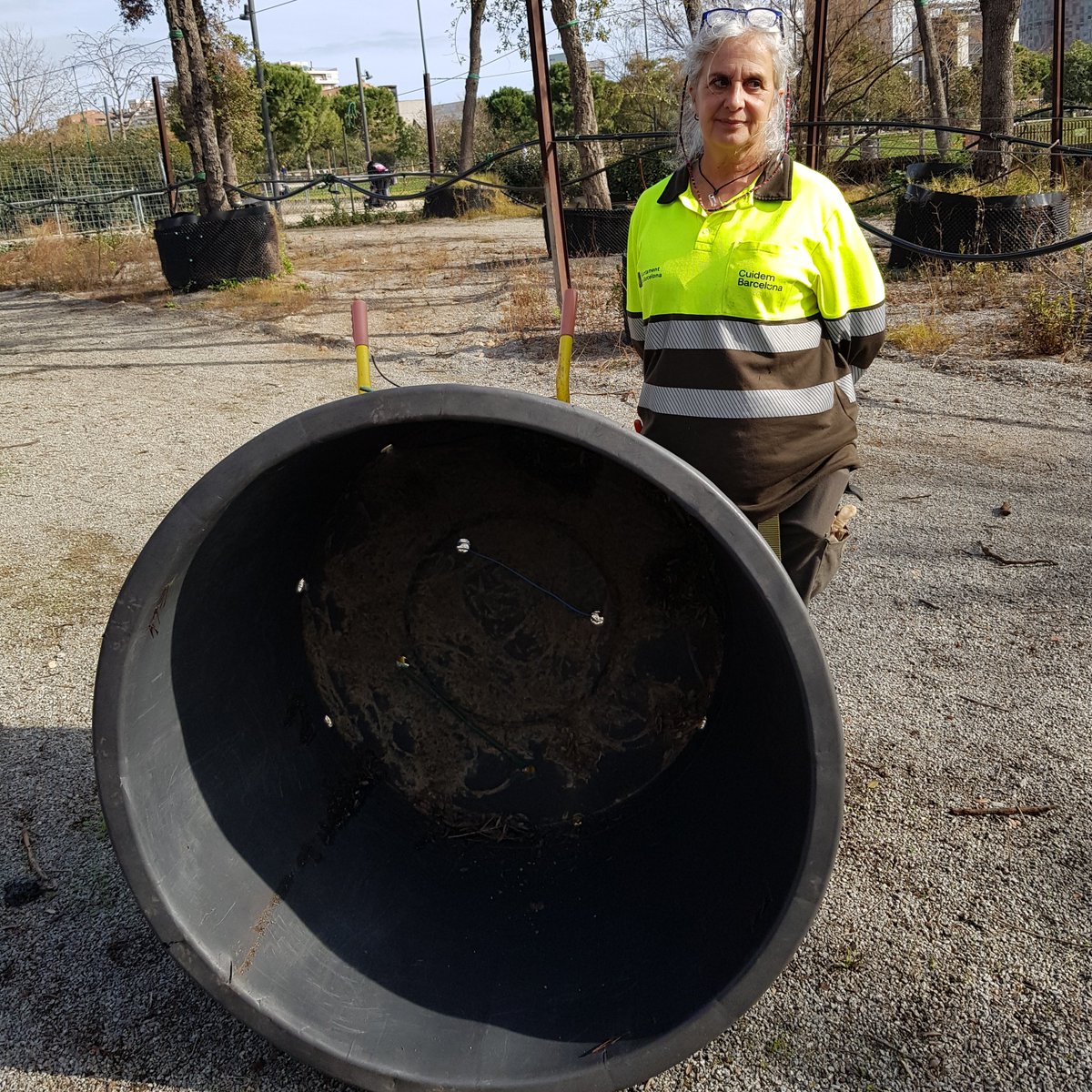 ImmaVedruna's tweet photo. Arriba a l'escola el test gegant que haurà de contenir la nostra olivera.
Moltes gràcies a l'Institut Municipal de Parcs i Jardins @BCN_EspaiPublic https://t.co/WixdjJsng4