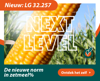LG 32.257, Next Level groeipartners.nl/producten-3/ma…… #mais #rassenlijst #korrelmais #snijmais