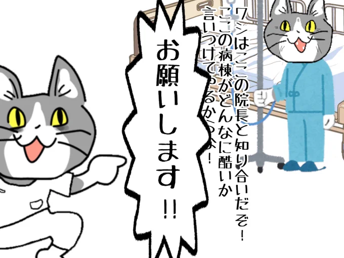 #現場猫 #看護師
え!?言ってくれるんですか!? 