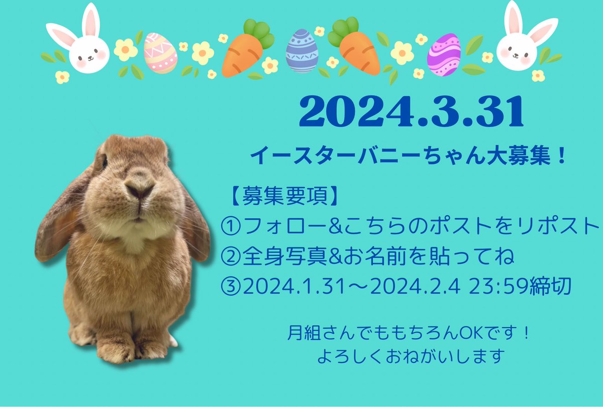GOLD_KURIMANJYU's tweet photo. 【🐰🪺イースターバニーちゃん大募集！】
#イースター
#イースターバニー 
#かわうさちゃんのイースター🪺 https://t.co/4A7MJPZzD0