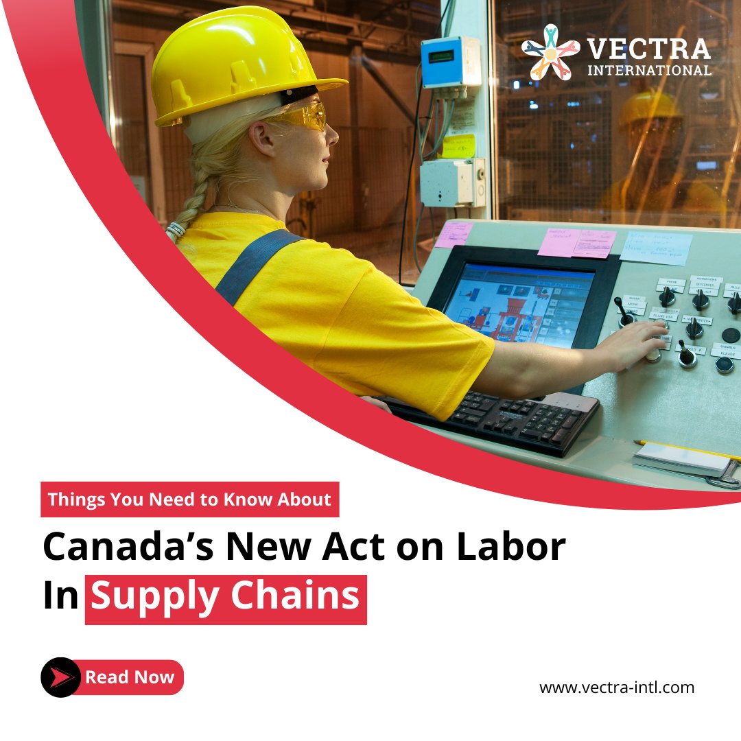VECTRAintl's tweet photo. Things you need to know about Canada’s New Law on Labor in Supply Chains that was brought into effect earlier this month. - https://t.co/hlEawDquds
#CanadaAct #ForcedLabor #ChildLabor #SupplyChainEthics #LabourRights #CorporateResponsibility #NewLegislation #BusinessCompliance https://t.co/2TvXpqfyfl