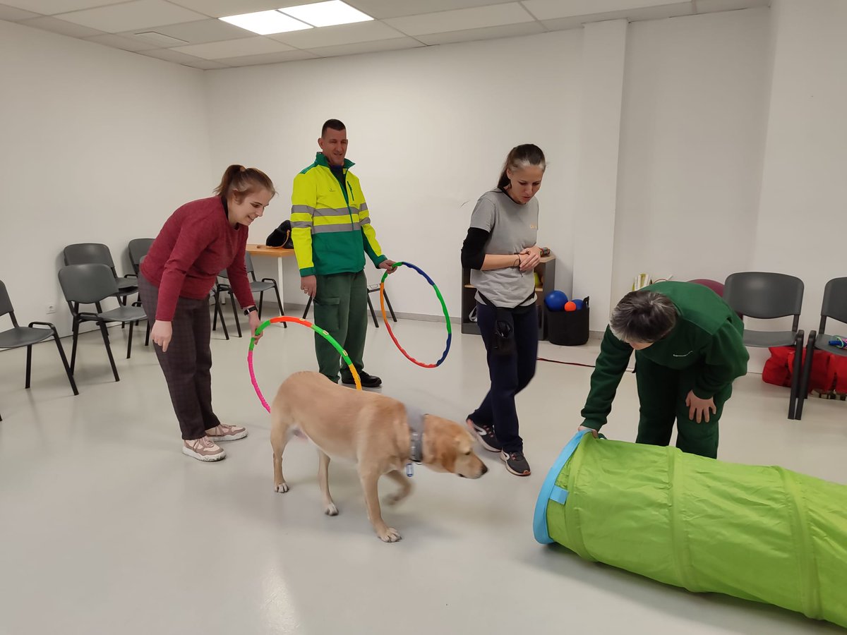 femarec's tweet photo. Aquesta setmana hem fet l'última sessió de teràpia amb gossos amb @CeniacIAA! 🐕

💙L'amor i l'afecte que transmeten aquests peluts de quatre potes és difícil d'explicar amb paraules, ha estat una gran experiència! 

🐾La interacció amb els animals millora el benestar emocional. https://t.co/mdZnD6TFSc