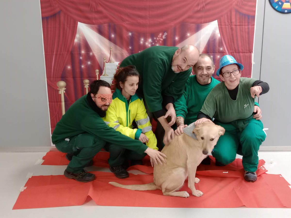 femarec's tweet photo. Aquesta setmana hem fet l'última sessió de teràpia amb gossos amb @CeniacIAA! 🐕

💙L'amor i l'afecte que transmeten aquests peluts de quatre potes és difícil d'explicar amb paraules, ha estat una gran experiència! 

🐾La interacció amb els animals millora el benestar emocional. https://t.co/mdZnD6TFSc