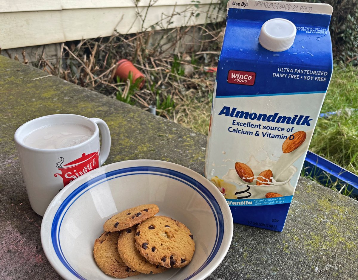 Robotvirgin's tweet photo. Vegan Milk & Cookies!! #veganmilk #almondmilk #vegancookies #veganchocolatechipcookies #veganchocolate #vegandessert #dairyfree #dairyisscary #vegan #veganfood #veganism #plantbased #veganfortheanimals #forthevoiceless #pdxvegans #portlandvegans https://t.co/bAWY1d9jMl