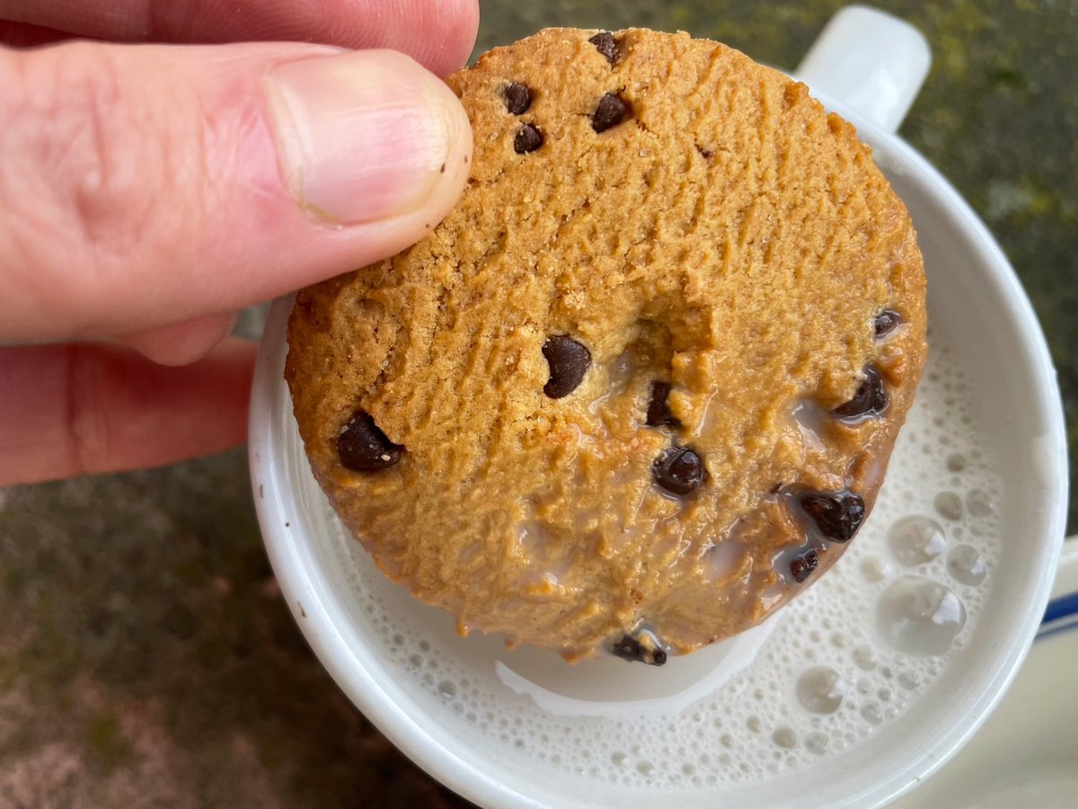 Robotvirgin's tweet photo. Vegan Milk & Cookies!! #veganmilk #almondmilk #vegancookies #veganchocolatechipcookies #veganchocolate #vegandessert #dairyfree #dairyisscary #vegan #veganfood #veganism #plantbased #veganfortheanimals #forthevoiceless #pdxvegans #portlandvegans https://t.co/bAWY1d9jMl