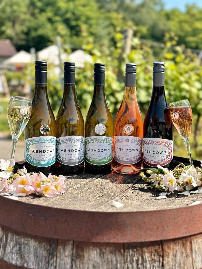 Our 25% off end of Dry January sale ends tomorrow! If you haven’t had a chance to grab a discounted bottle in person at our Cellar Door or on our website there’s still time 🥂

#wine #winelover #englishwine #sparklingwine #englishsparklingwine