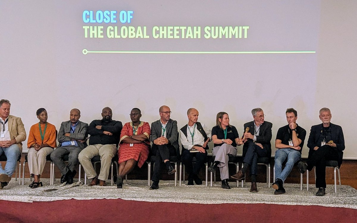 Wrapping up the Global Cheetah Summit in Addis Ababa. Lots of energy and good ideas to protect #cheetah and their habitats @WildCRU_Ox @ewca_eth @CCFCheetah #conservation globalcheetahsummit.com