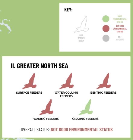 Scotland has just announced a closure of its waters to the industrial sandeel fishery to complement the earlier announcement for English waters

OSPAR's assessment of seabirds populations in the Greater North Sea shows why this is such an important development