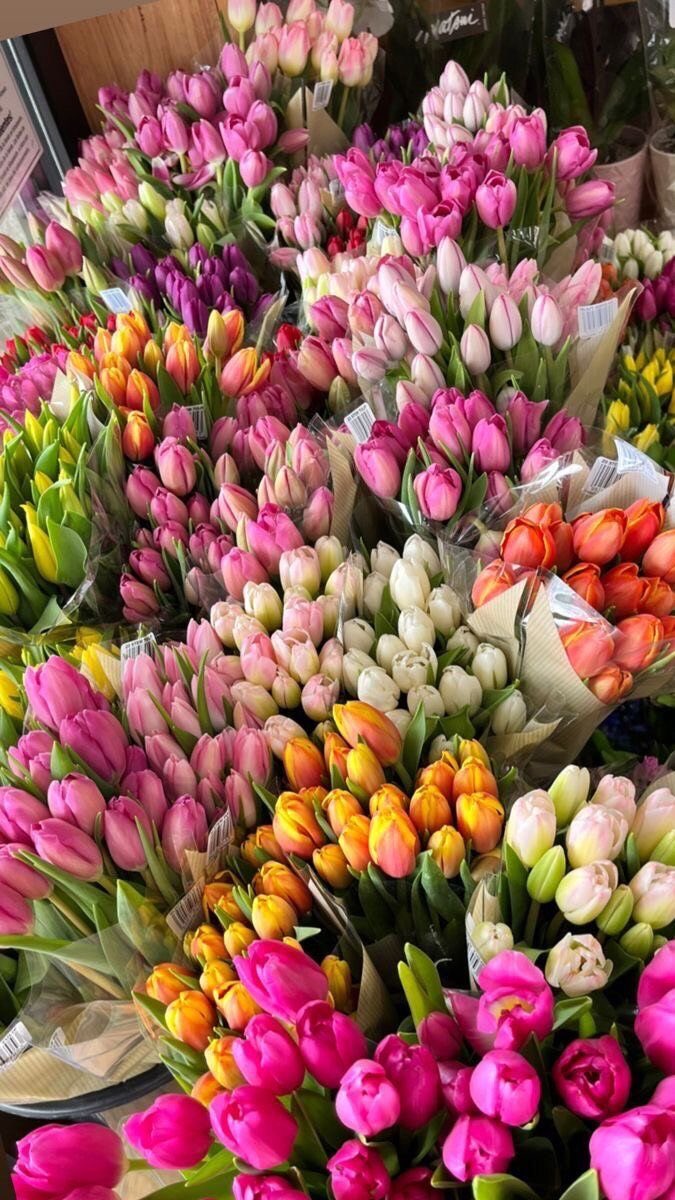 fresh tulips.