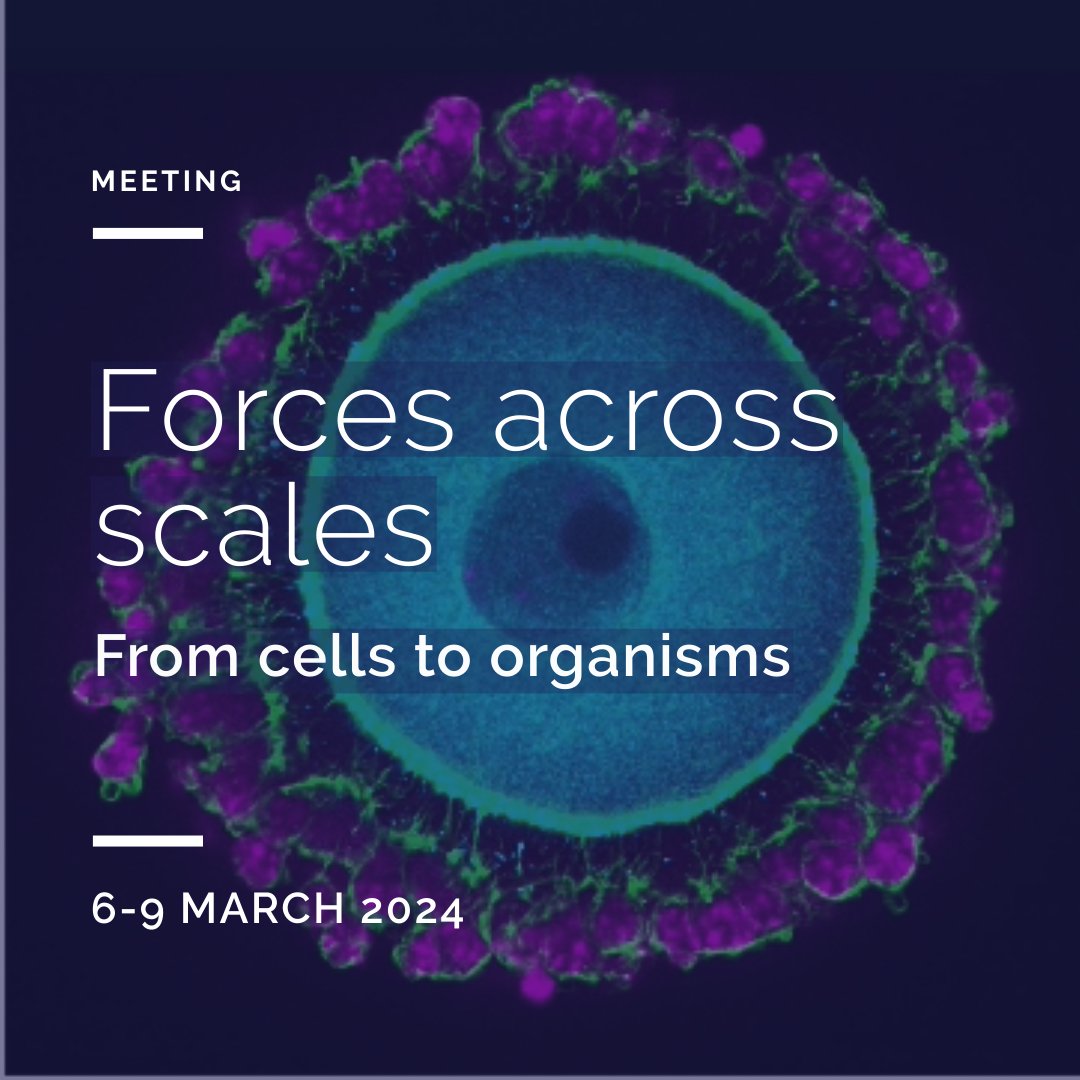 Joining researchers from diverse disciplines, Forces Across Scales is a 3-day meeting focused on mechanobiology & force generation across scales. There'll also be a chance to explore #Porto + drink some🍷
Event sponsored by @Co_Biologists
➕tinyurl.com/5n8sxx8d
#i3Sevents
