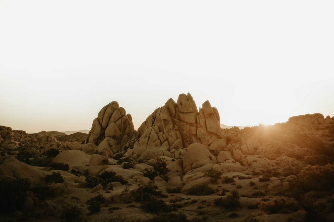 Michelle (@michell41036620) on Twitter photo 