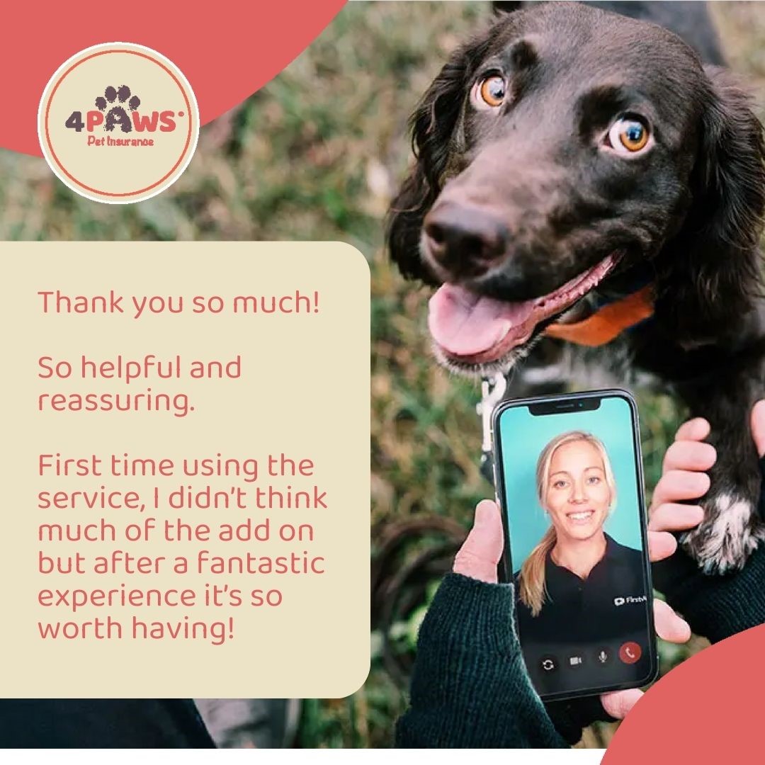 Did you know that #FirstVet comes as standard with every 4Paws #PetInsurance Policy? That's right, all #4Paws customers have access to free 24/7 video calls with a qualified vet! Just download the app, register your pet, detail their symptoms and arrange a time that suits you.