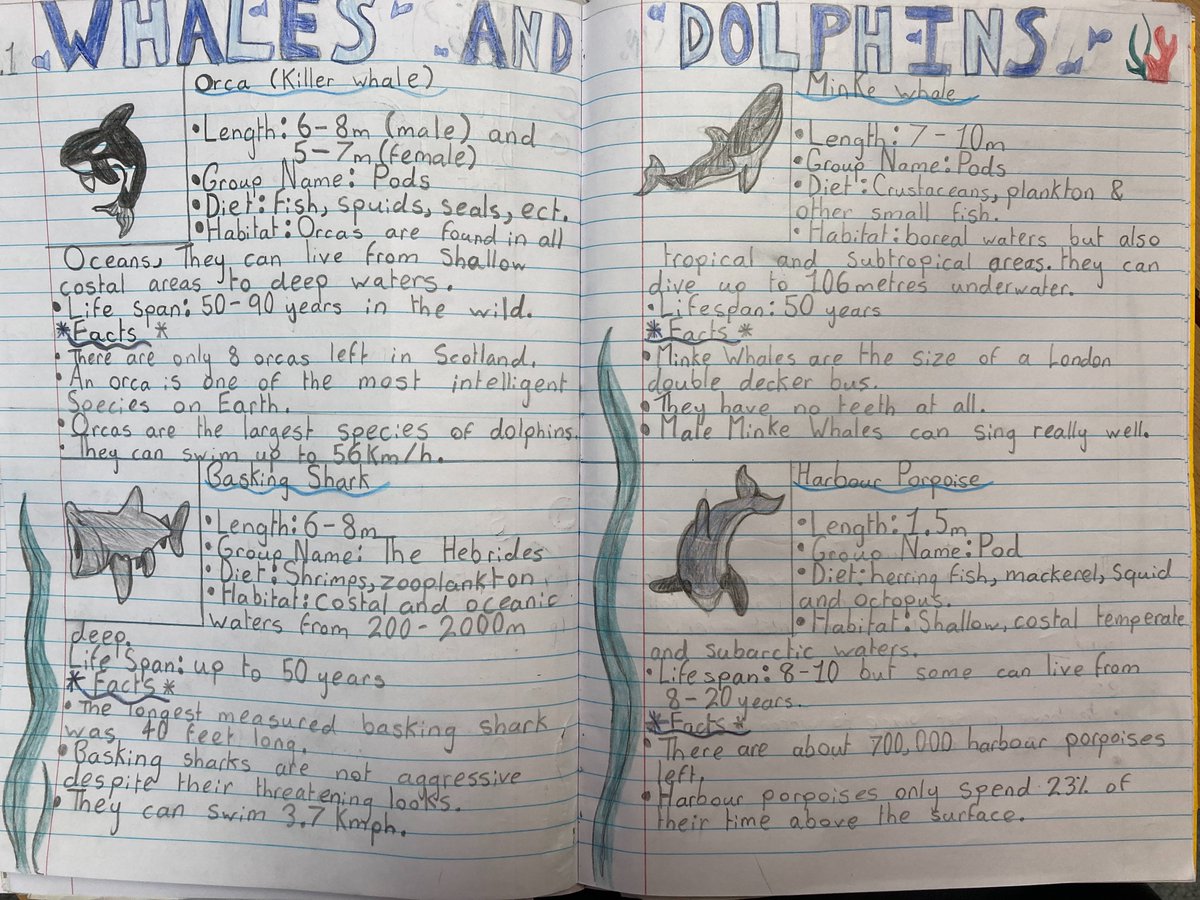 Killin PS tweet media