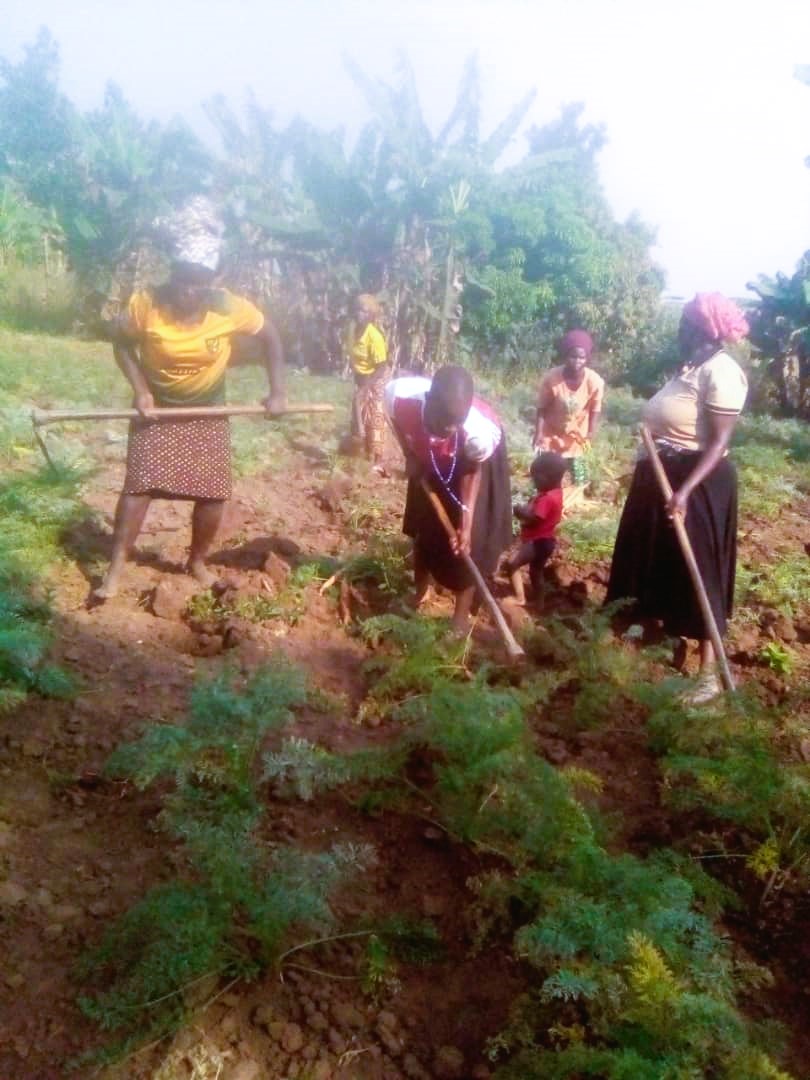 Exciting feedback from our young women group from #Logiri who have ventured into agroecology, cultivating their own space, growing vegetables, and making organic pesticides. They're championing #ClimateAction, Empowering livelihoods, and improving nutrition.
 #SPAII 
#Agroecology