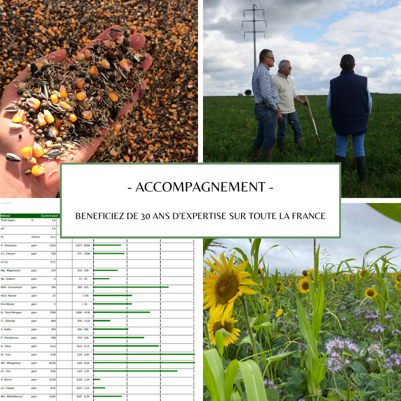 🌱Besoin d’un accompagnement pour votre transition vers l'ACS ?
✅ Pour 1 500 €: accompagnement annuel: 
➡️ 1 journée CHEZ VOUS + plan d'action
➡️Support téléphonique
➡️ 2 analyses chimiques + biologique de sol &amp; 2 analyses de sève
📧 mtgassler@gassler.fr