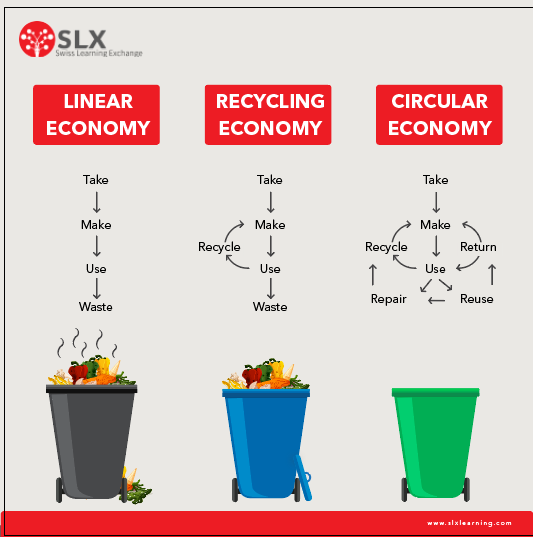 Currently, most of the economy operates under the linear or recycling models. However, we want to imagine a regenerative future that operates primarily under a circular economy.

#swisslearningexchange #sustainability #circulareconomy #sustainablefuture