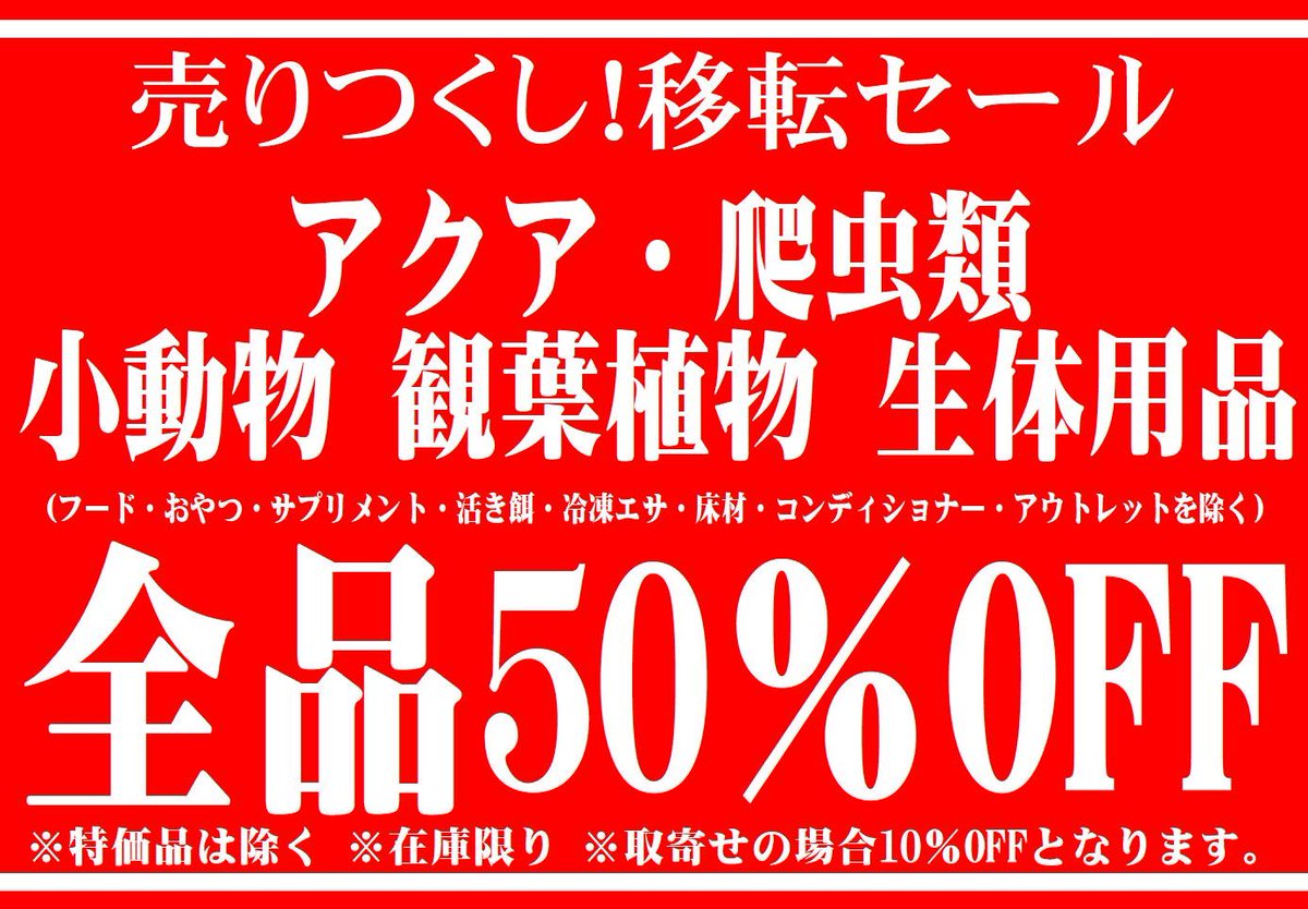 PLUXE6's tweet photo. 明日から2月という事で、移転セールも大詰め‼
更に更にプライスダウン‼

アクア・爬虫類・観葉植物コーナーの生体・用品50%OFF‼️
(フード、サプリメント、冷凍エサ、爬虫類用床材、コンディショナーは40％OFF)
※特価品・特価生体・アウトレット・活き餌は除く
※在庫限り
※お取寄商品は10%OFF https://t.co/0hIIZqzP8A