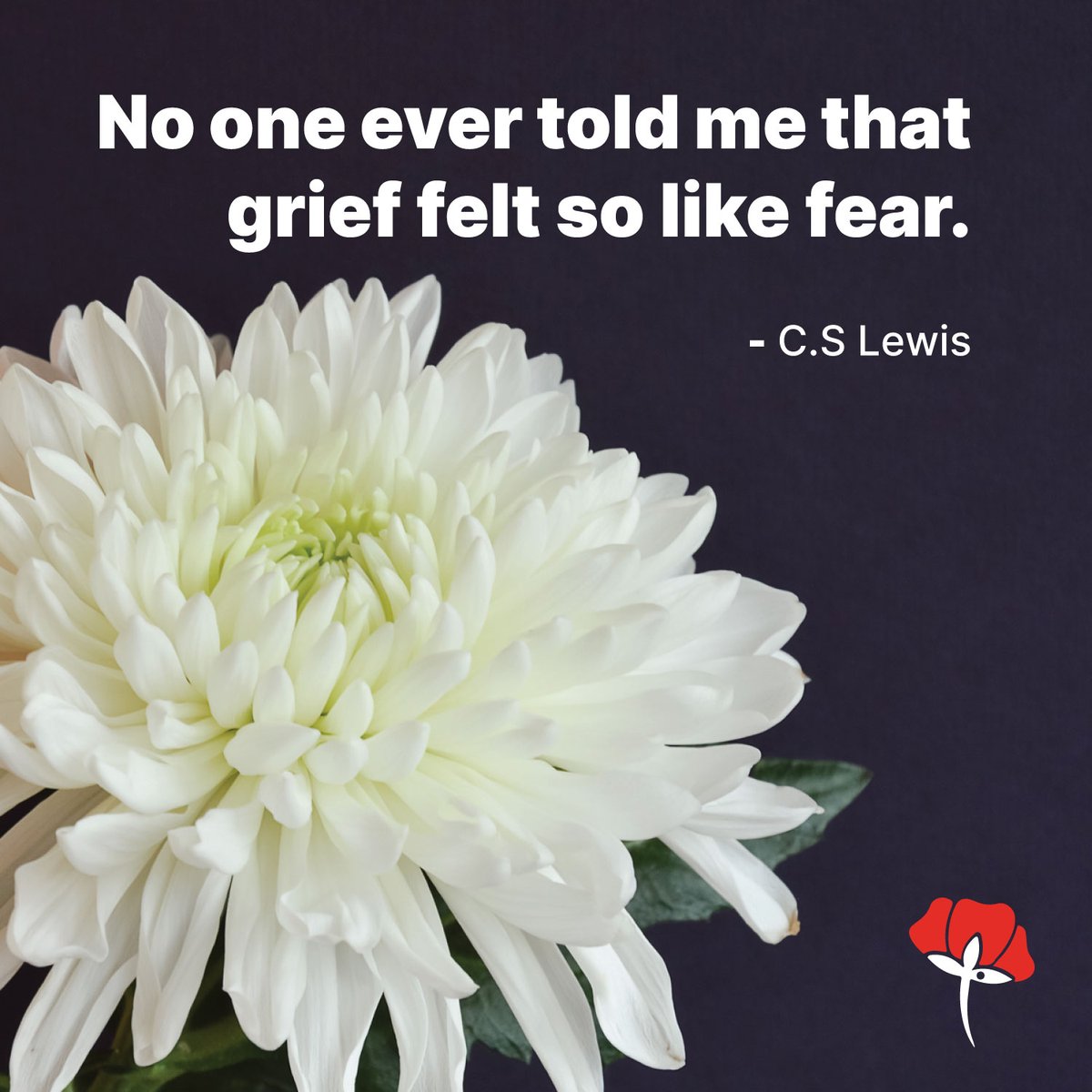 Grief is a complex emotion that can be hard to describe but C.S Lewis captured it well with this quote. What would you tell somebody who is experiencing grief right now? #PureCremation #Quote