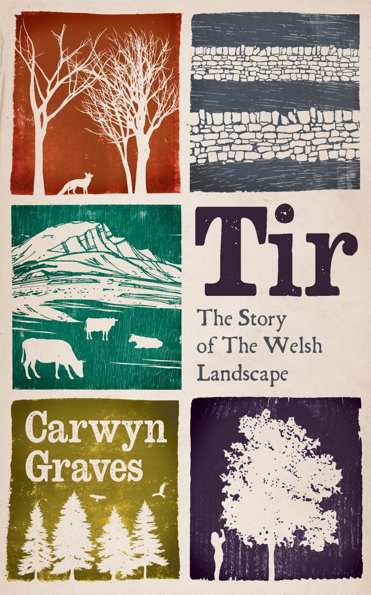 carwyn_graves's tweet photo. Chapter 8 of #Tir brings us into Wales' #perllan lands - our ancient and overlooked #apple and pear orchards, that exemplify so much of what has gone wrong - and what we could get right... https://t.co/kXkl67XZr1