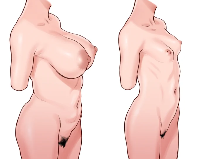 体型を描き分ける練習あとはこれを狙ったポーズで自由に動かせるようにならねば… 