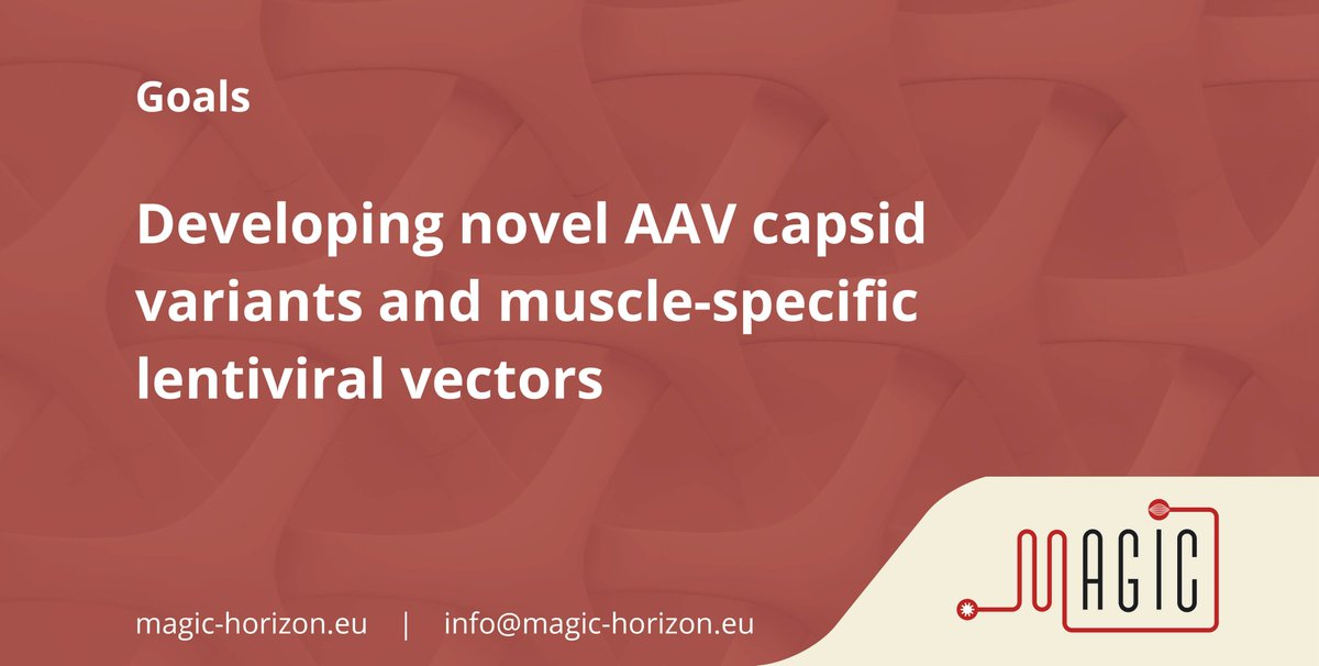 MAGIC_horizon's tweet photo. 🧬In WP2 of the MAGIC Project, MHH is leading the work. From developing novel AAV capsid variants to muscle-specific lentiviral vectors, we're charting new territories in precision therapies. More about MHH: https://t.co/2O54J2HeCQ
#MAGICProject #GeneticTherapies https://t.co/uvK7wKs1re