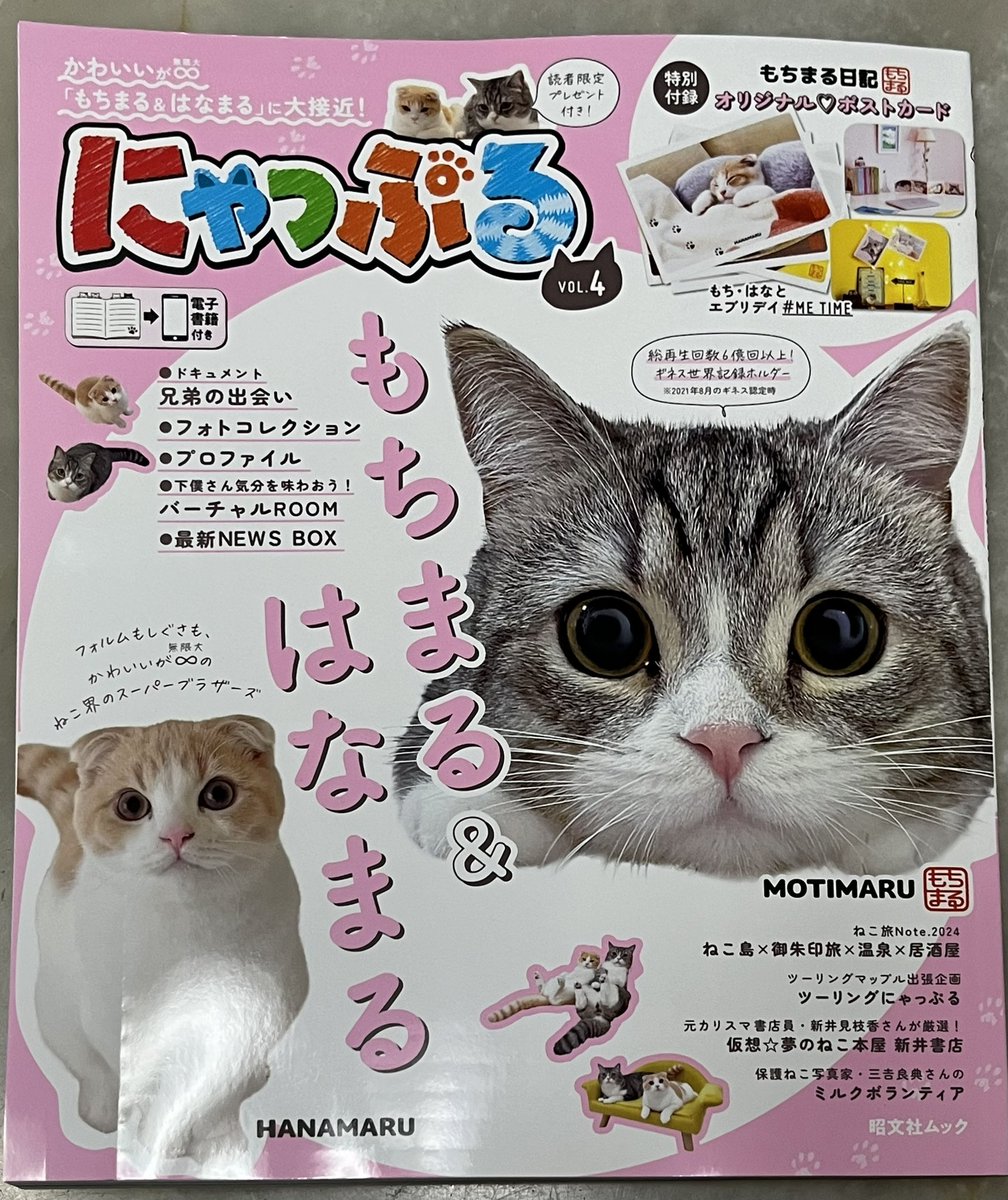 JinjyaTamada's tweet photo. こんばんは
本日発売の昭文社発行の『にゃっぷるvol.4』のねこ御朱印旅のコーナーで、猫御朱印で有名な社寺さまと一緒に当社のことも掲載して頂きました。
早速、ウチの奥様が購入してきてくれました📖
嬉しいです☺️
#玉田神社
#にゃっぷる
#ねこ https://t.co/kYlwXfDN4A