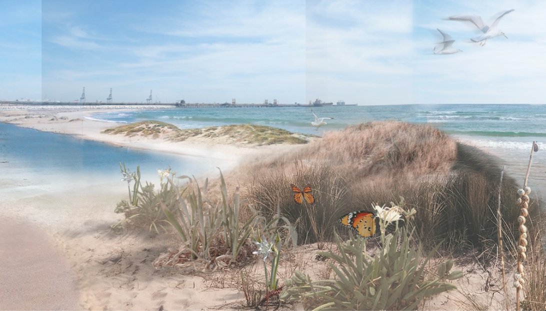 Pere Segura tweet media