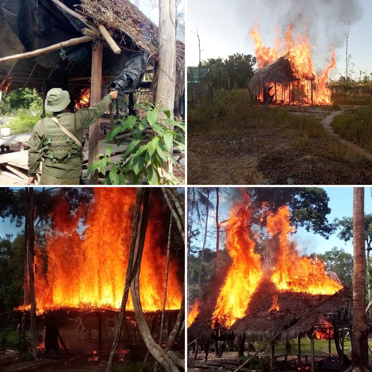 #FANB en defensa de nuestro medio ambiente mantiene despliegue de seguridad y defensa en el municipio Alto Orinoco del estado Amazonas, contra la minería ilegal y la depredación ambiental.

#IntegrarEsVencer