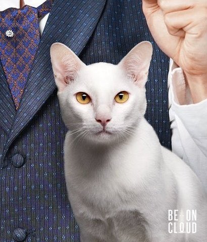 SnowWhitewo's tweet photo. ห๋าาาาาาา ไอ้เรืองก็มาหรอลู๊กกกกกก!!! 😻

#MOCxBOC
#กระทรวงพาณิชย์ #BeOnCloud https://t.co/Su14mSVUpB