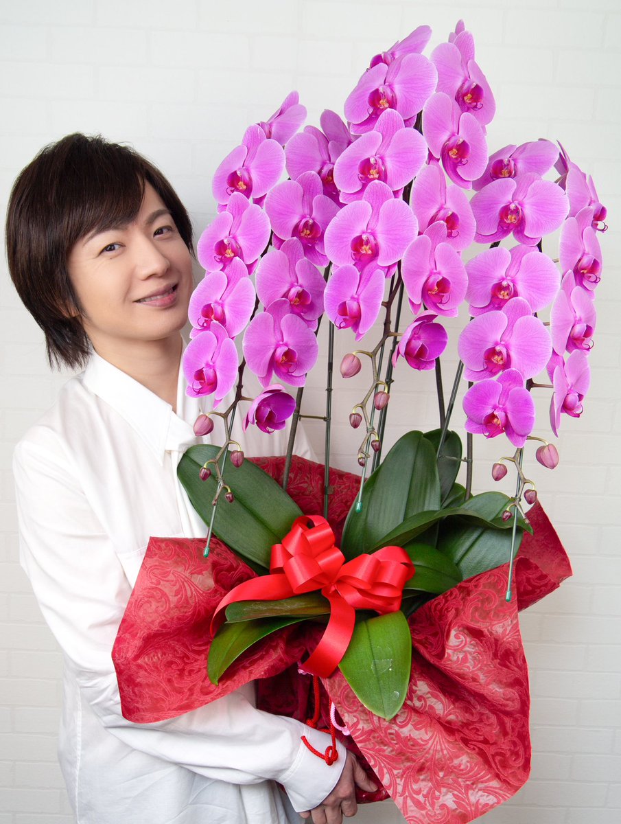 takeshima_staff's tweet photo. "胡蝶蘭・ピンク"

　　花言葉は

「あなたを愛します」

１月最終日に選んだ花
皆さんに幸せが訪れますように...
久しぶりの8：28⏰
今夜はゆっくり休んで下さいね！
今日も１日お疲れ様でした。
#ひろネット #絆 #祈り #花 #花言葉 #想いは一つ #1月最終日 https://t.co/nKYRIV8qpG