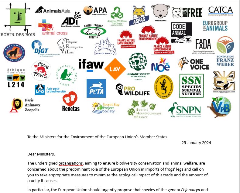 prowildlife's tweet photo. 🐸🇪🇺 43 organisations, many of them based in #France, are calling on the @EU to take measures against the uncontrolled trade in #frogslegs and the amount of cruelty it causes.
#animalwelfare #biodiversity @ifawEU @HSIEurope @AnimalsAsia @SNPN_nature @AWI_de @LaSHF_Officiel https://t.co/8zGXFzUXPn