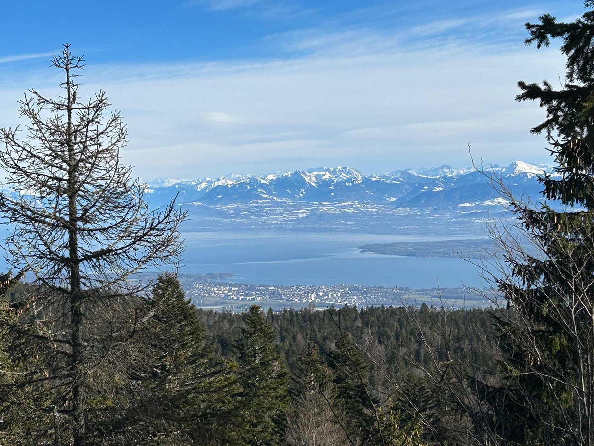 Never tired of this view. The fabulous Lac Leman and the chain of Mont Blanc.