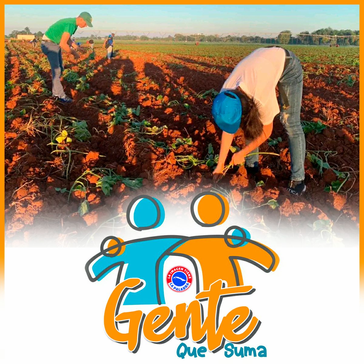 Buenos días #Cuba 🇨🇺
"Si el hombre sirve, la tierra sirve"
Y con este precepto Mariano amanecemos y #QueNadieSeQuedeAtrás para cultivar🧑‍🌾 nuestro pedacito🌿, somos más la #GenteQueSuma 💪♥️🇨🇺💯🤗
<a href="/DiazCanelB/">Miguel Díaz-Canel Bermúdez</a> @Colina_VClara <a href="/EVilluendasC/">Enrique Villuendas</a> <a href="/AlmaguerPerdomo/">Emilio Almaguer Perdomo</a> <a href="/MinfarC/">Minfar_Cuba</a> <a href="/TitanAceroCuba/">Alejandro Titán Acero 8 K</a>