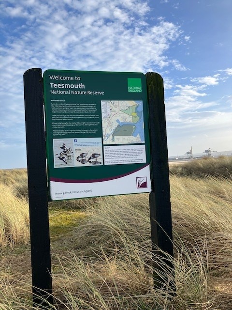 Did you know North Gare and Seal Sands are both part of the Teesmouth National Nature Reserve? Managed by Natural England this covers over 350 hectares of dunes, grazing marsh and one of the largest areas of intertidal mudflats on the north-east coast!