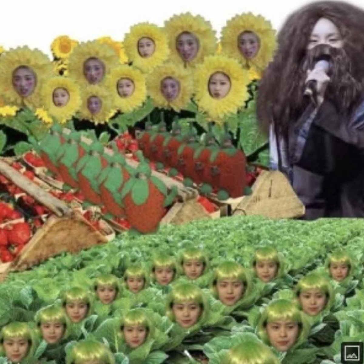 Ryujin’s new profile