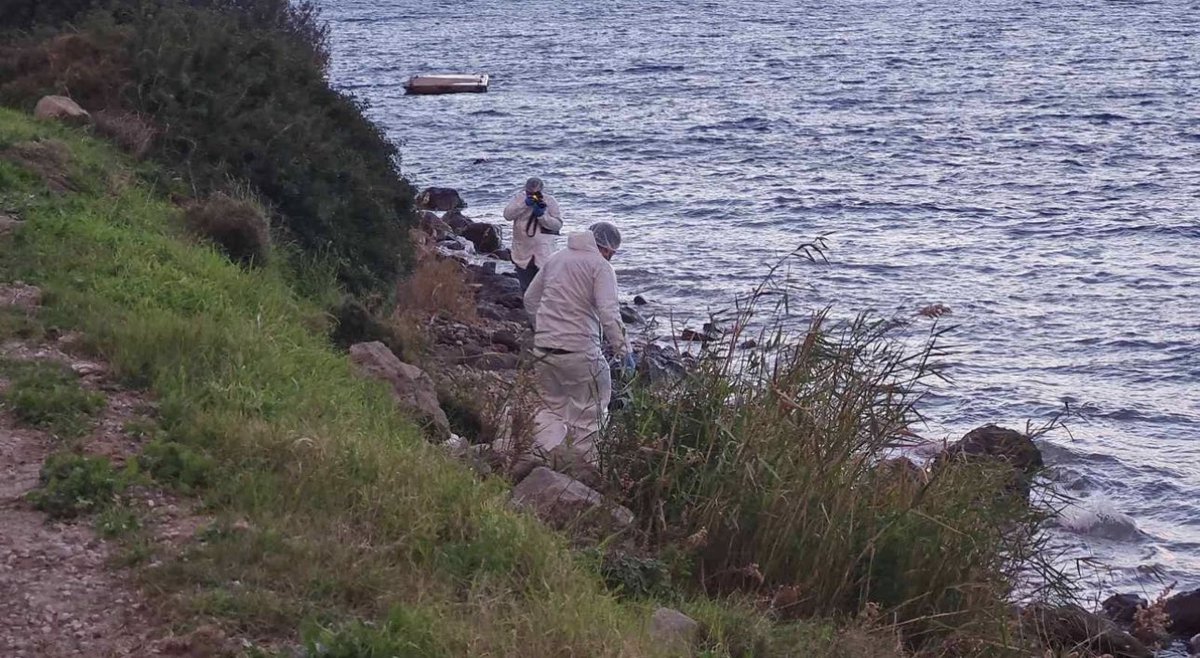 Bu sabah, uzuvları eksik bir erkek cesedi daha Kıbrıs Çatalköy sahiline vurdu. Çok ilginçtir ki, bu cesetlerin hepsinin aynı yerden uzuvları eksik. Belden yukarısı yok. Eğer batan bir bot olsaydı, her yerde haberlerini görürdük. Günlerdir vücut bütünlüğü bozulmuş cesetler