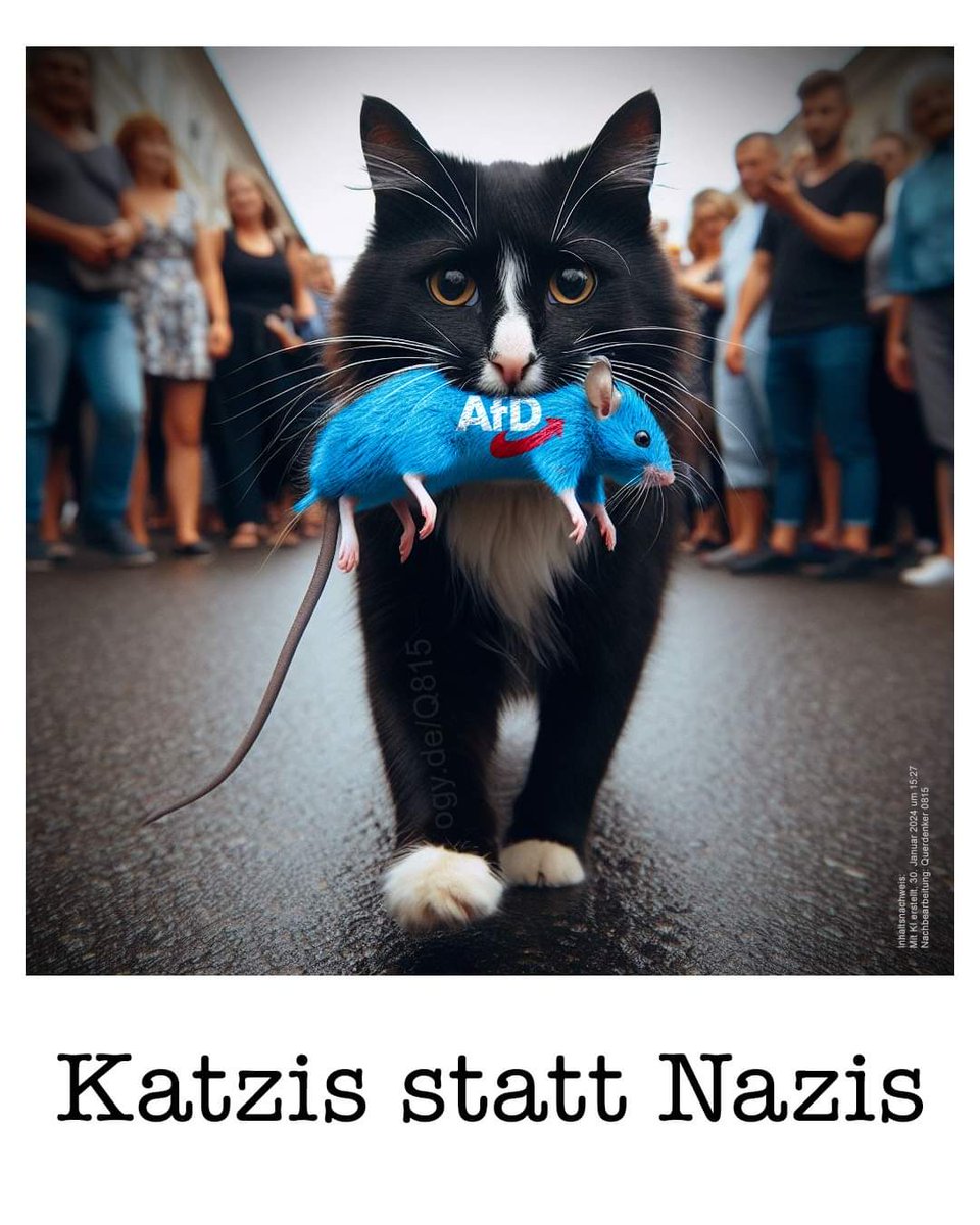 FlugschuleE's tweet photo. Ja ☝️🥰🥰🥰🥰😻😻😻 https://t.co/eSXsLaP0Sd