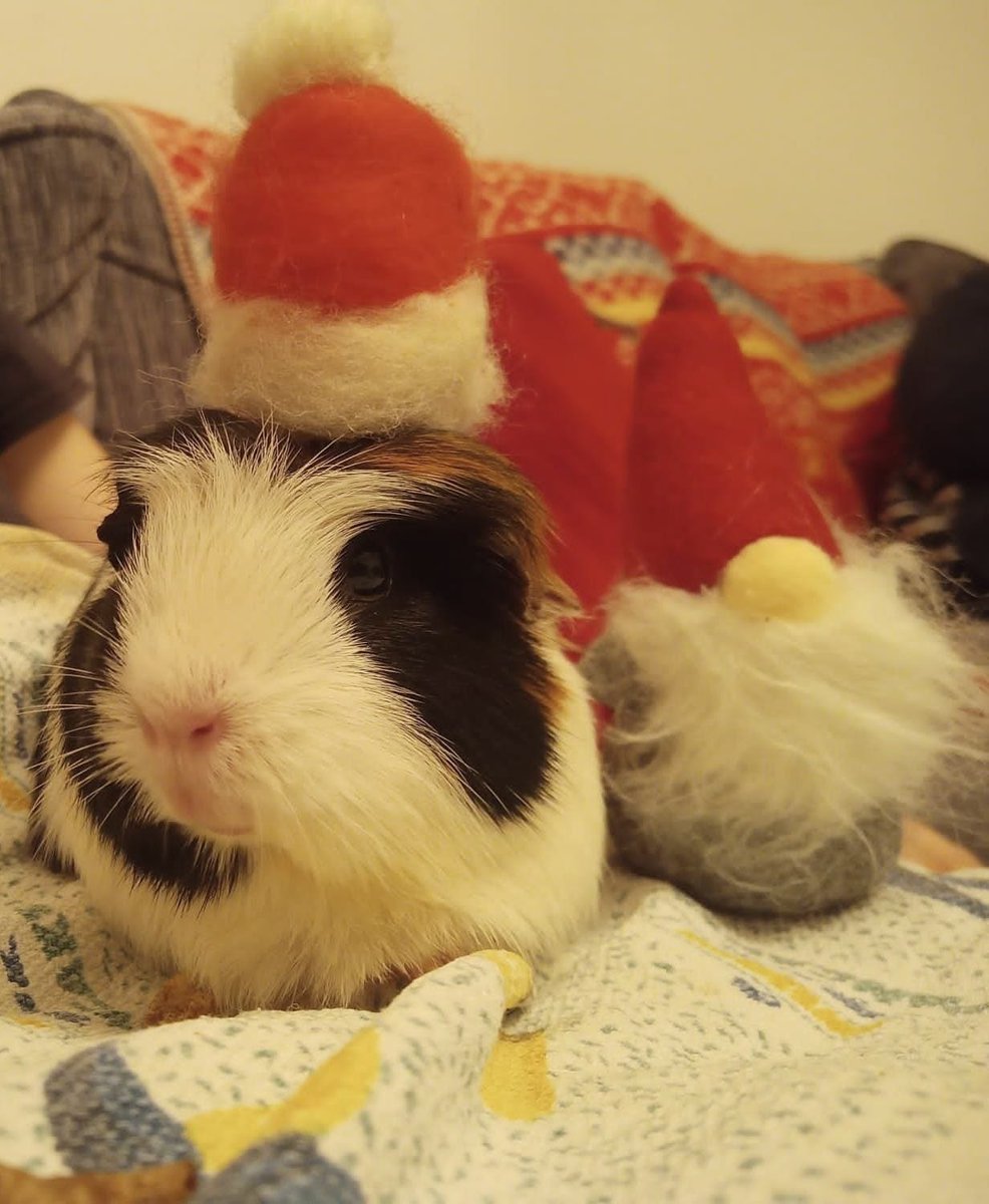 Eavan O'Dochartaigh tweet media