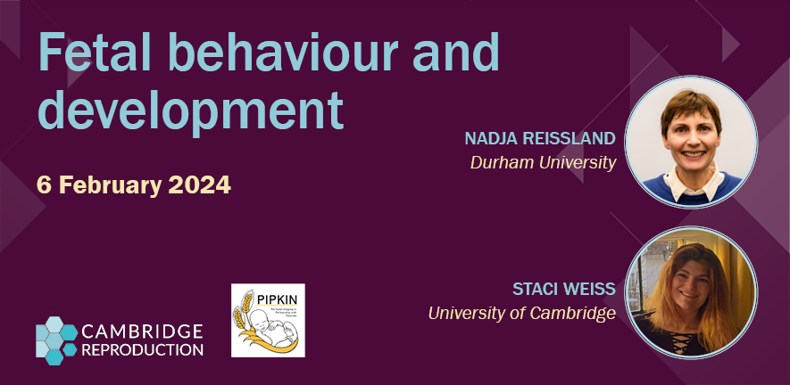 Cambridge Reproduction (@cam_repro) on Twitter photo 📢Fetal behaviour and development seminar next week. 6 February, join in-person or online @allostacis <a href="/NReissland/">Nadja Reissland</a> repro.cam.ac.uk/events/seminar… 📢Fetal behaviour and development seminar next week. 6 February, join in-person or online @allostacis <a href="/NReissland/">Nadja Reissland</a> repro.cam.ac.uk/events/seminar…