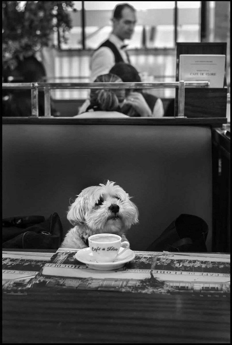 ☕💗 📷 Peter Turnley