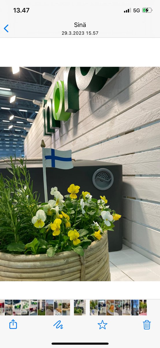 ruutuikkuna's tweet photo. Mulla jo messuosaston suunnittelu hyvin käynnistynyt! #kevätmessut Messukeskus 21-24.3 🌱 #inora 🌱 https://t.co/VUDV4uThxm